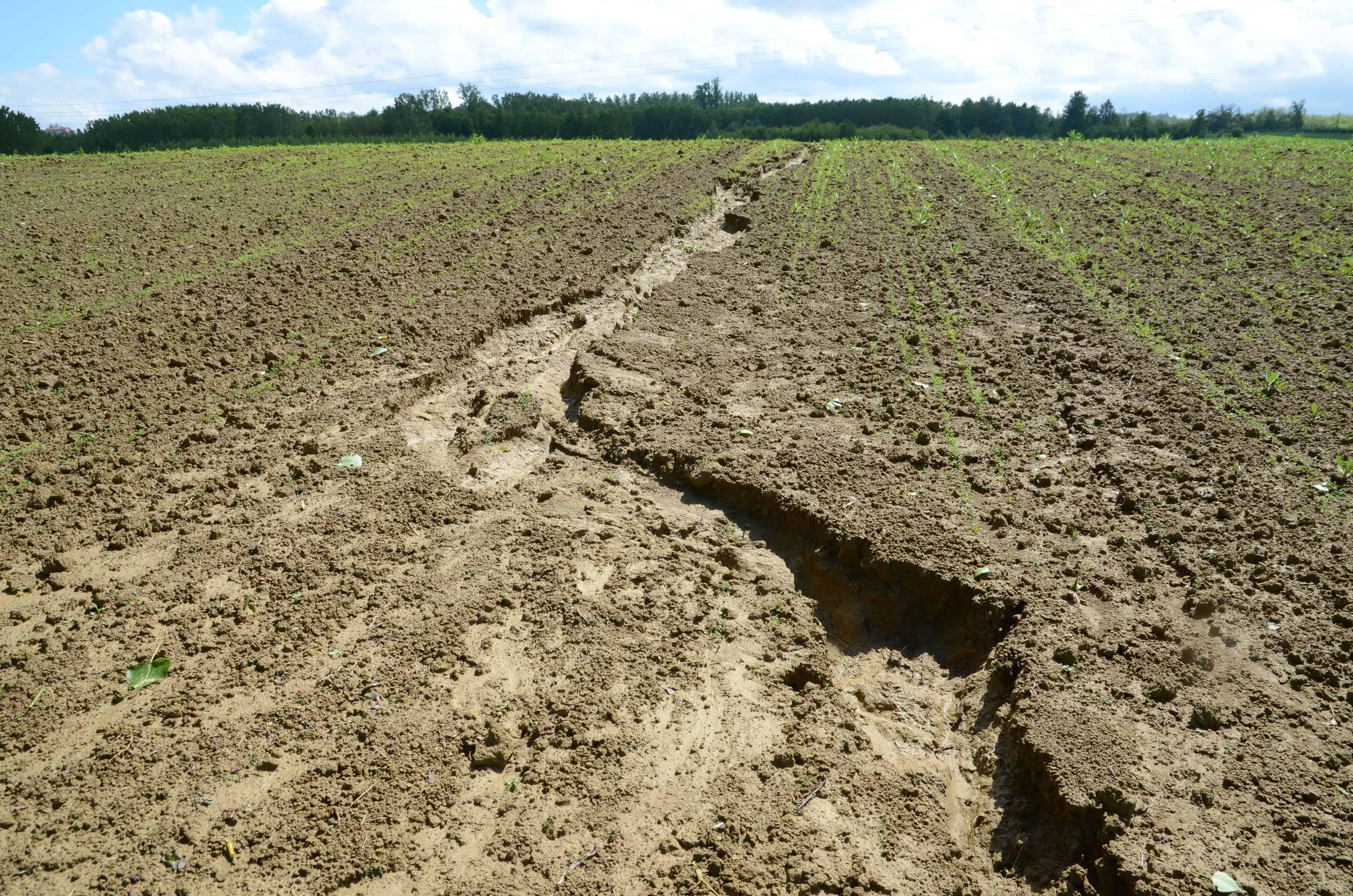Erosion Control Installation image