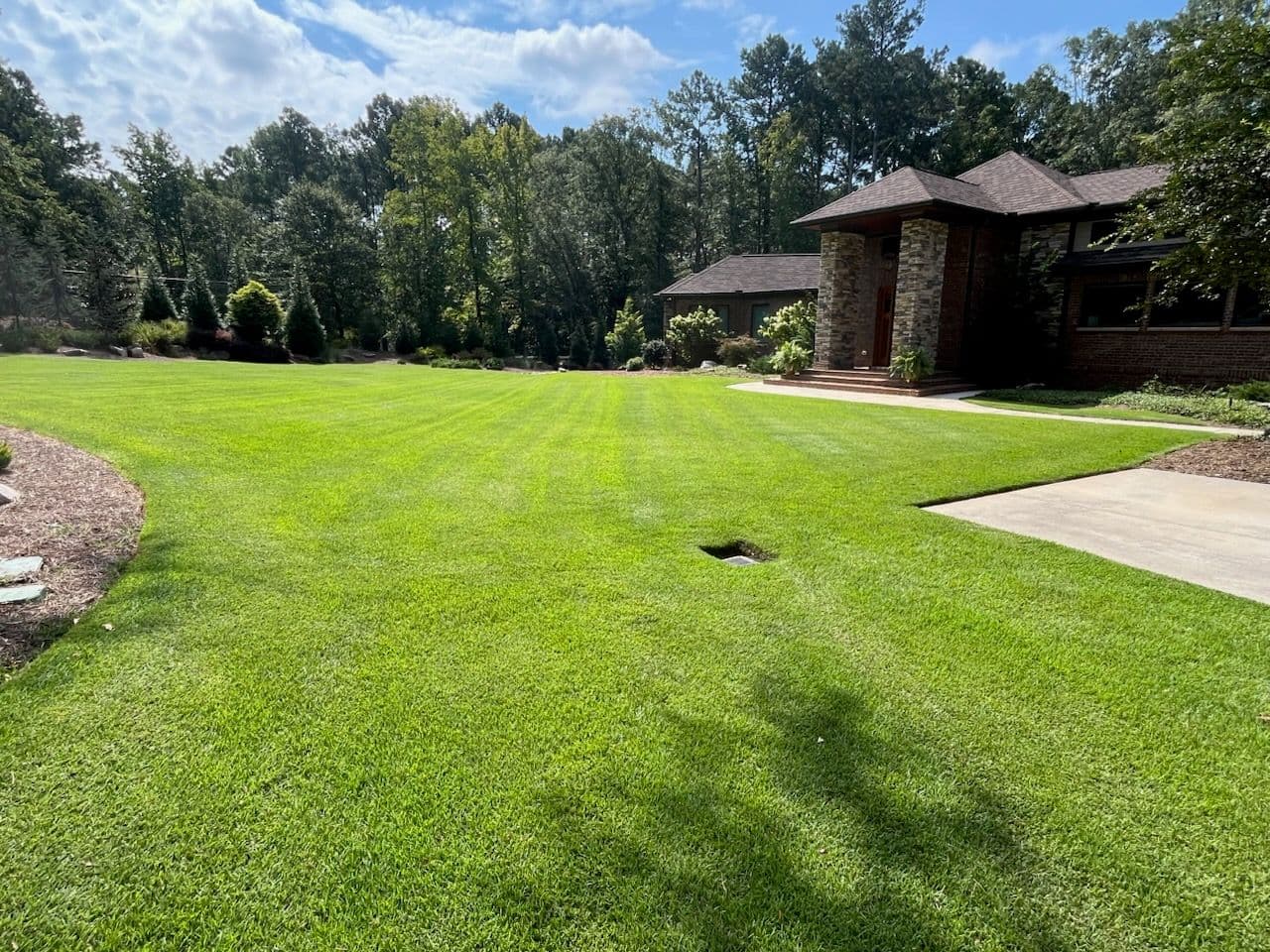 Project Stunning Lawn Transformation by The Maxx Land Development image