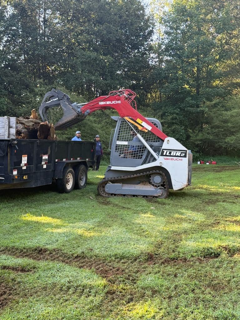 Project Efficient Tree Removal and Land Clearing Service image