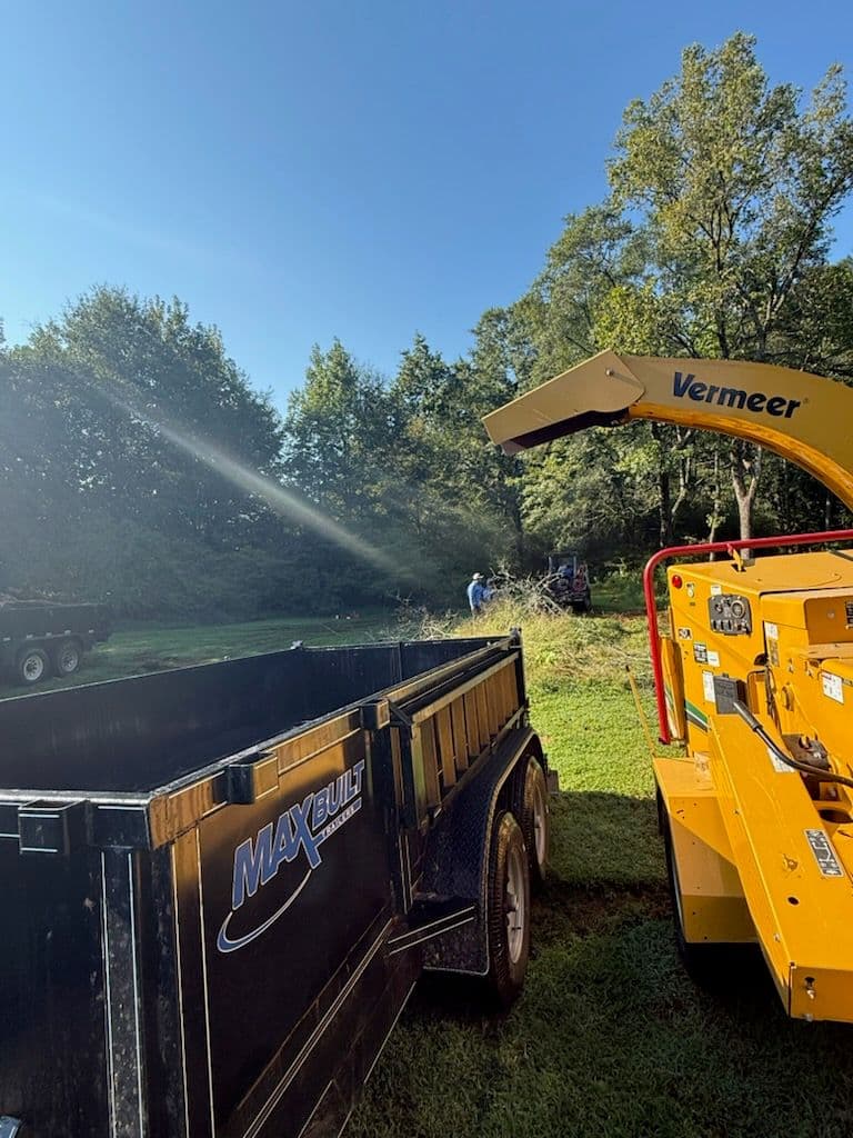 Efficient Tree Removal and Land Clearing Service