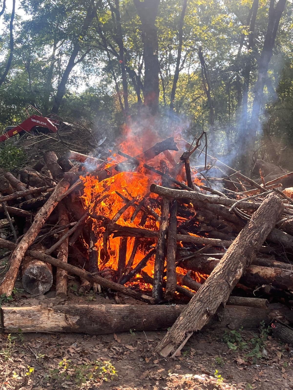 Project Efficient Land Clearing with Controlled Burn image