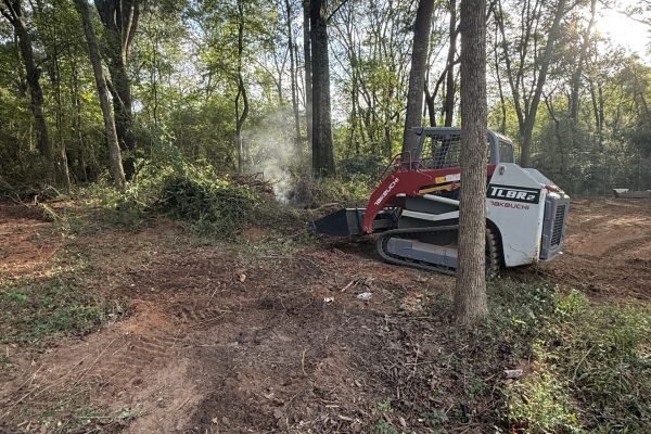 land-clearing-3 land-clearing-3